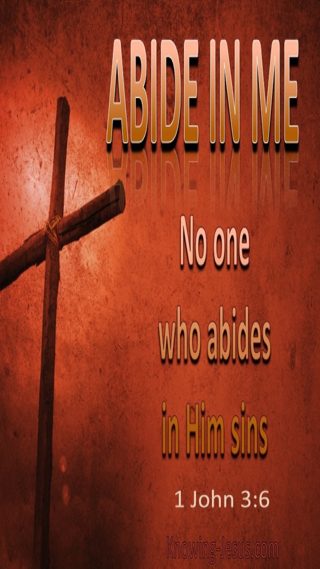 1 John 3:6 No One Who Abides In Me Sins (brown)